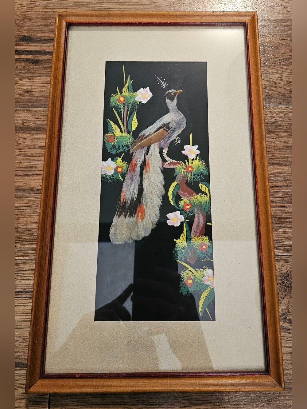 Vintage Hand Painted Feathered Art Work